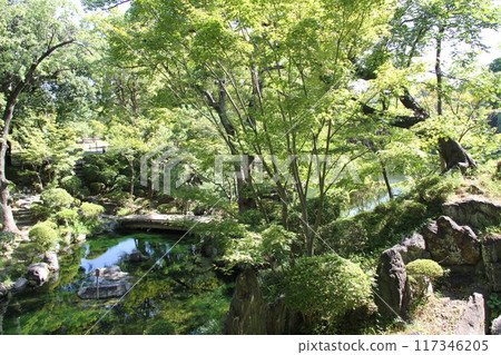 和歌山城西之丸花園的夏日早晨 和歌山城西之丸花園的夏日早晨 117346205