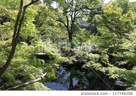和歌山城西之丸花園的夏日早晨 和歌山城西之丸花園的夏日早晨 117346206