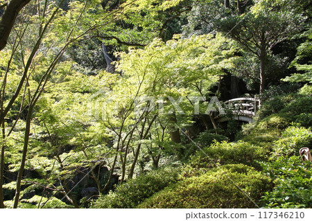 和歌山城西之丸花園的夏日早晨 和歌山城西之丸花園的夏日早晨 117346210