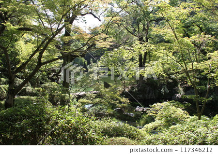 和歌山城西之丸花園的夏日早晨 和歌山城西之丸花園的夏日早晨 117346212