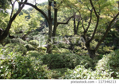 A summer morning in the Nishinomaru Garden of Wakayama Castle 117346213