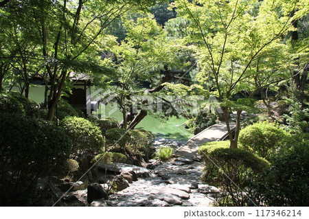 和歌山城西之丸花園的夏日早晨 和歌山城西之丸花園的夏日早晨 117346214