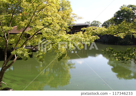 A summer morning in the Nishinomaru Garden of Wakayama Castle A summer morning in the Nishinomaru Garden of Wakayama Castle 117346233