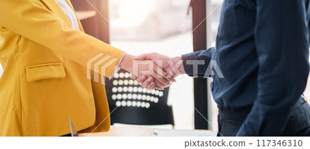 Close-up of a business handshake between two professionals, symbolizing partnership and agreement in a modern office environment. 117346310