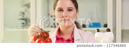 Young woman scientist holding tomatoes in hands Young woman scientist holding tomatoes in hands 117346860