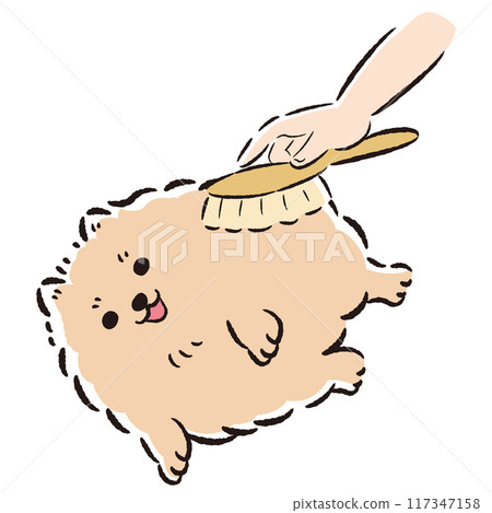 Illustration of brushing a dog Illustration of brushing a dog 117347158