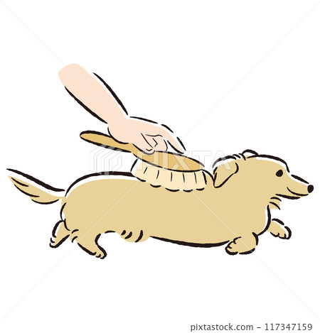給狗狗刷毛的插圖 117347159