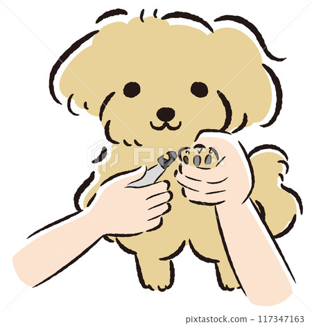 Hand-drawn illustration of a toy poodle clipping its nails 117347163