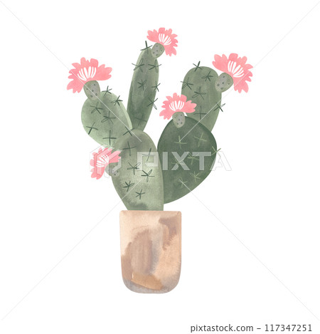 Blooming cactus in a light concrete pot. Plants for the home. Floriculture. Interior decoration. Isolated watercolor illustration on white background. Clipart. Blooming cactus in a light concrete pot. Plants for the home. Floriculture. Interior decoration. Isolated watercolor illustration on white background. Clipart. 117347251