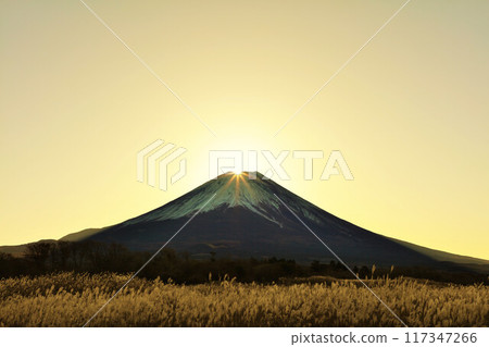 Autumn dawn, Japanese silver grass and Diamond Fuji 117347266