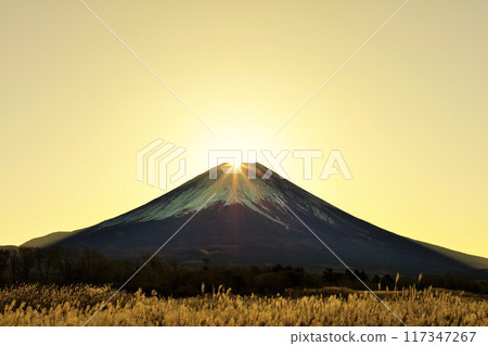 Autumn dawn, Japanese silver grass and Diamond Fuji 117347267