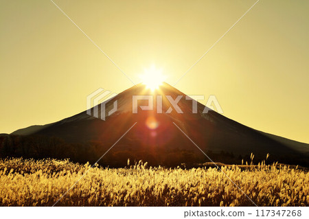 Autumn dawn, Japanese silver grass and Diamond Fuji 117347268