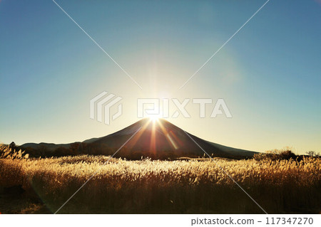 日本鑽石富士的黎明 日本鑽石富士的黎明 117347270