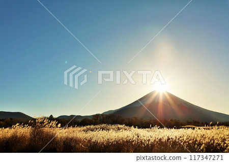 Dawn of Japan Diamond Fuji 117347271