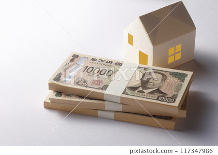 A model of a house and a stack of new banknotes 117347986