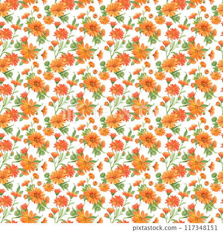 Beautiful seamless floral pattern with hand painted watercolor bright flowers. Orange alendula on a white background. Illustration for packaging design, textiles, wallpapers. 117348151