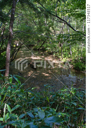 Scenery of Kamikochi 117348517