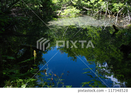 上高地的風景 上高地的風景 117348528