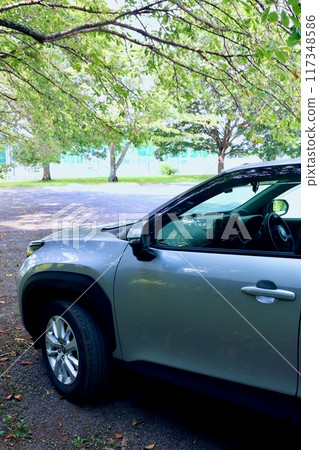 汽車停在樹蔭下 汽車停在樹蔭下 117348586