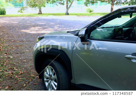 Car parked in the shade Car parked in the shade 117348587