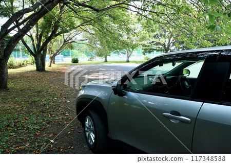 Car parked in the shade Car parked in the shade 117348588