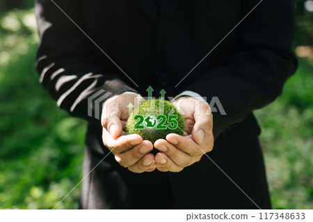 Sustainable environment development goals and visions planning business growth for Next Year 2025. 117348633