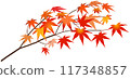 秋葉枝條（左）透明插畫素材 117348857