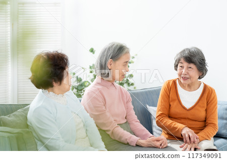 Senior women chatting in the living room 117349091