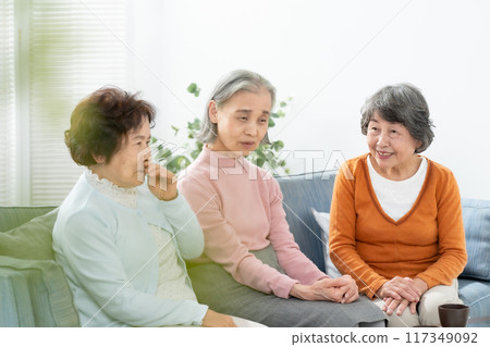 高級婦女在客廳聊天 117349092