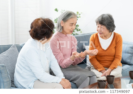 高級婦女在客廳聊天 117349097