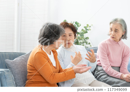 Senior women chatting in the living room 117349099