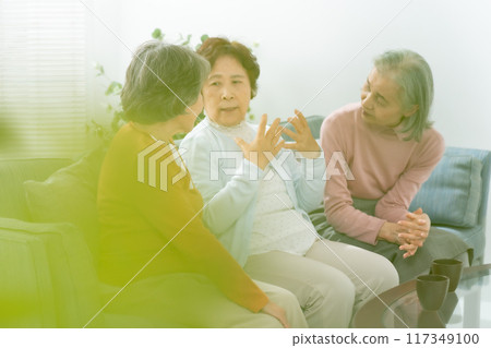 Senior women chatting in the living room Senior women chatting in the living room 117349100