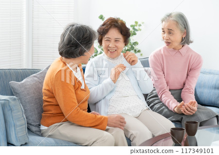 Senior women chatting in the living room 117349101