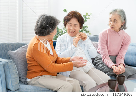 Senior women chatting in the living room 117349103