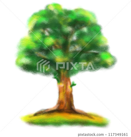 Cartoon tree in crayon style isolated illustration 117349161