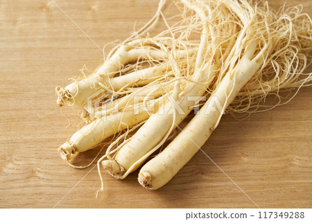 福島縣高麗人參 福島縣高麗人參 117349288