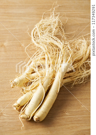 Korean ginseng from Fukushima Prefecture Korean ginseng from Fukushima Prefecture 117349291