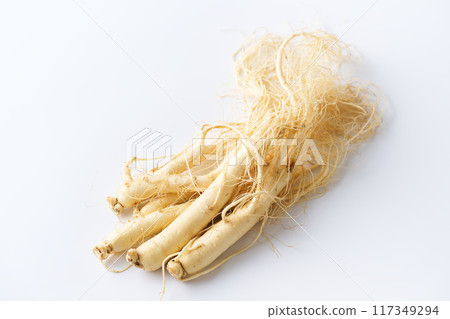 福島縣高麗人參 福島縣高麗人參 117349294