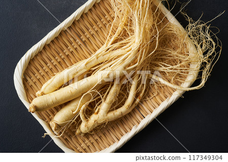 Korean ginseng from Fukushima Prefecture 117349304