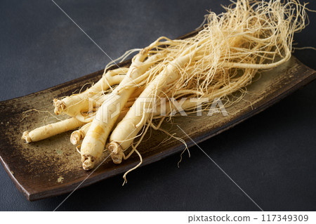 Korean ginseng from Fukushima Prefecture 117349309