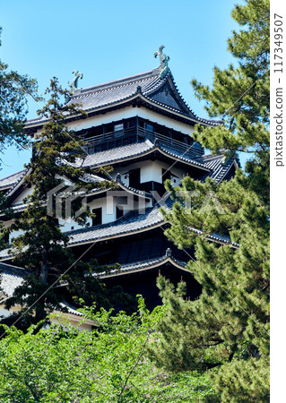 松江城 松江城 117349507