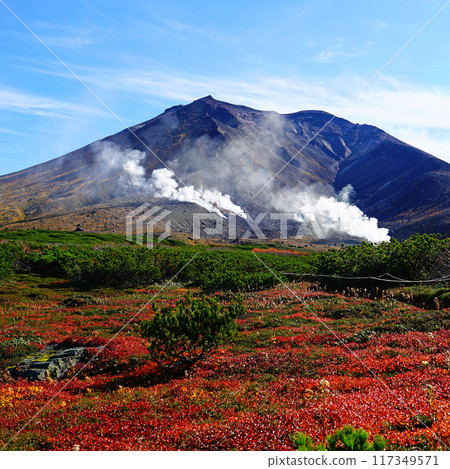北海道Asahidake秋葉 117349571