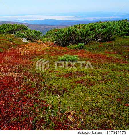 北海道Asahidake秋葉 北海道Asahidake秋葉 117349573