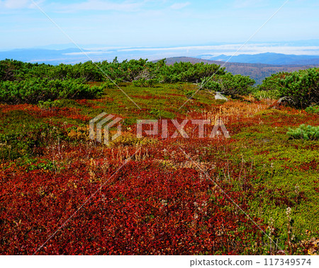 北海道Asahidake秋葉 北海道Asahidake秋葉 117349574