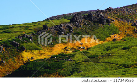 Hokkaido Asahidake Autumn leaves 117349586