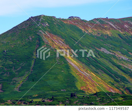 北海道Asahidake秋葉 117349587