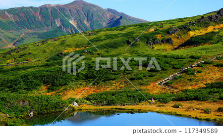 北海道Asahidake秋葉 117349589