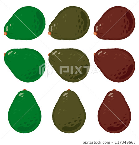 Avocado Set 117349665