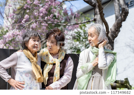 Three senior women who are good friends Three senior women who are good friends 117349682