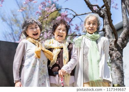 Three senior women who are good friends 117349687